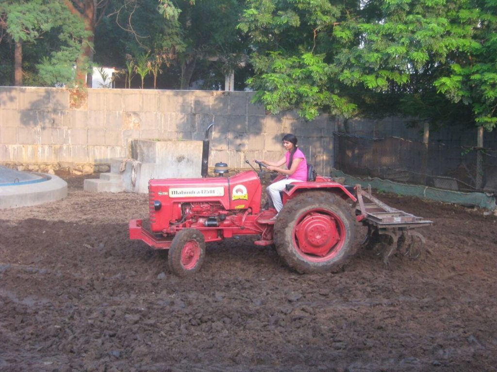 Suchitra S Rao ploughing Cow Grazing field @ an Animal Shelter